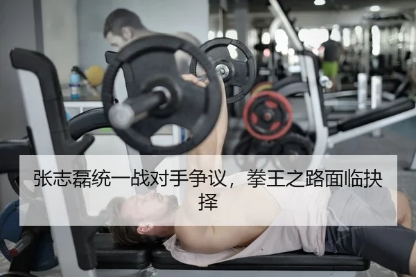 张志磊统一战对手争议，拳王之路面临抉择